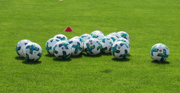 米兰体育登录-后疫情足球：运动员健康新管理策略，足球运动员常见疾病